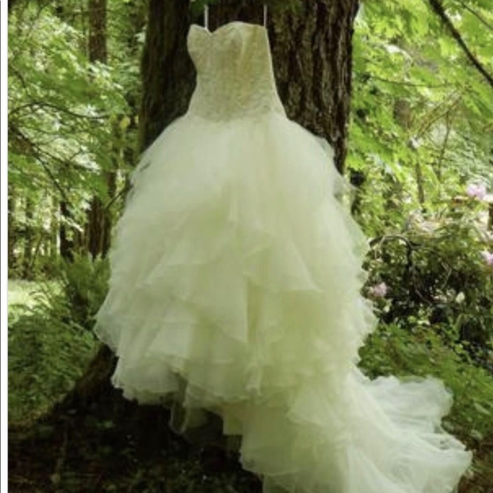 Oleg Cassini dress